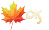 logo-cis