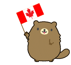 illustration of a small chubby brown beaver waving with a Canadian flag