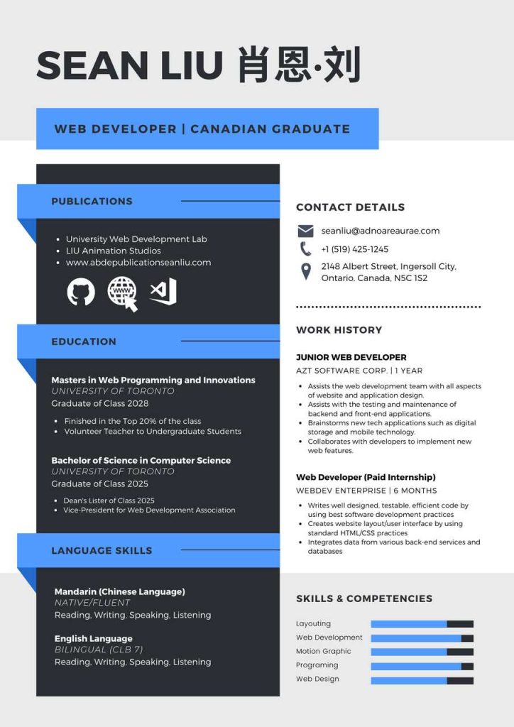 Web Dev Sample CV