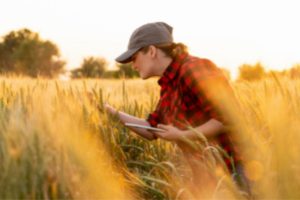 Agriculture Jobs in Canada For Foreigners