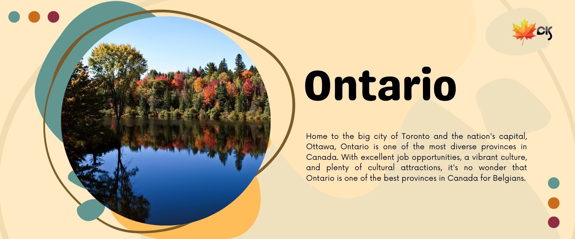 Home to the big city of Toronto and the nation's capital, Ottawa, Ontario is one of the most diverse provinces in Canada. With excellent job opportunities, a vibrant culture, and plenty of cultural attractions, it's no wonder that Ontario is one of the best provinces in Canada for Belgians.