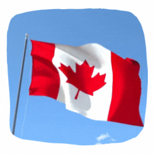 Check your immigration chances